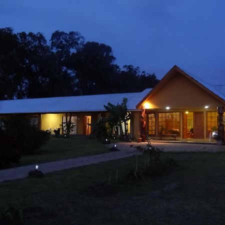 Cabanas Rapa Nui Orito Hanga Roa Exterior foto