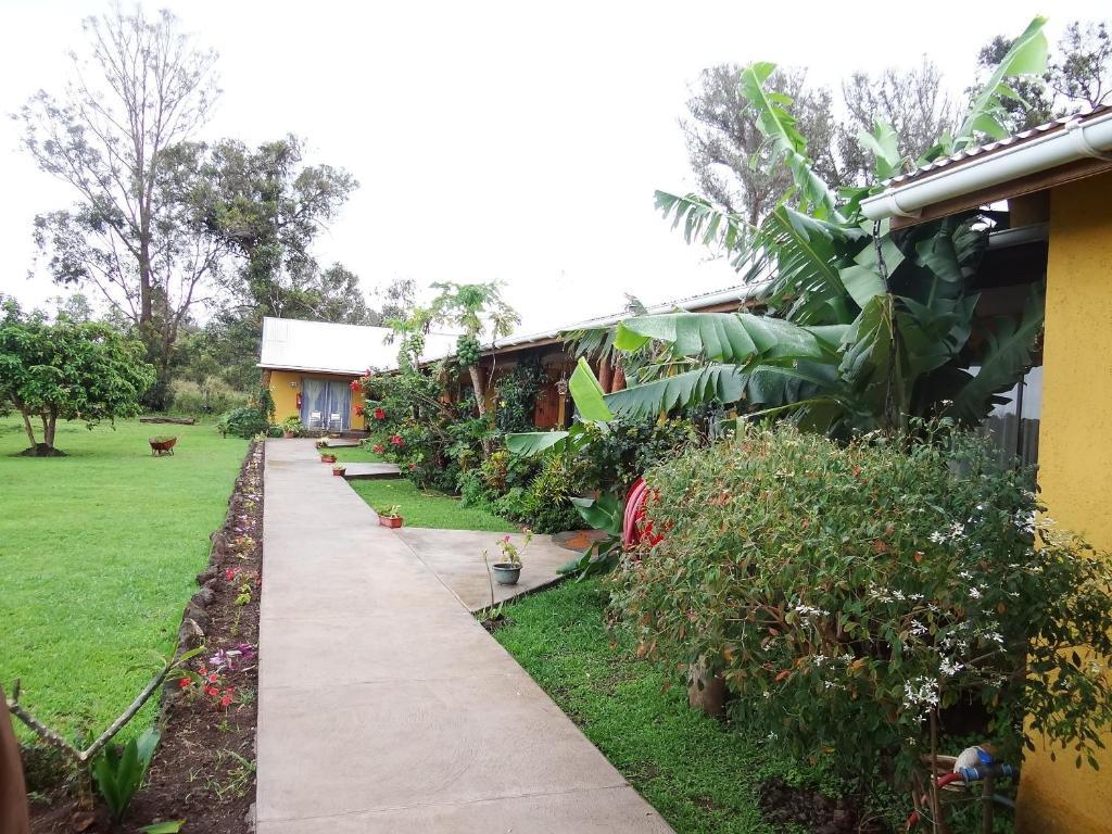 Cabanas Rapa Nui Orito Hanga Roa Exterior foto