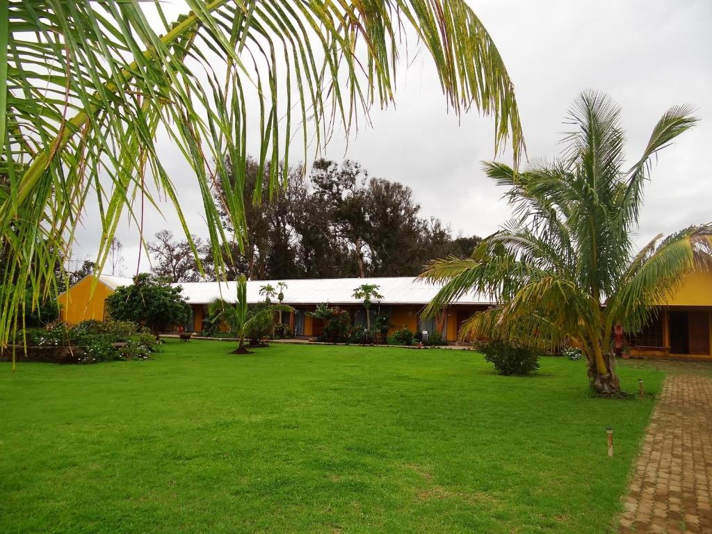 Cabanas Rapa Nui Orito Hanga Roa Exterior foto