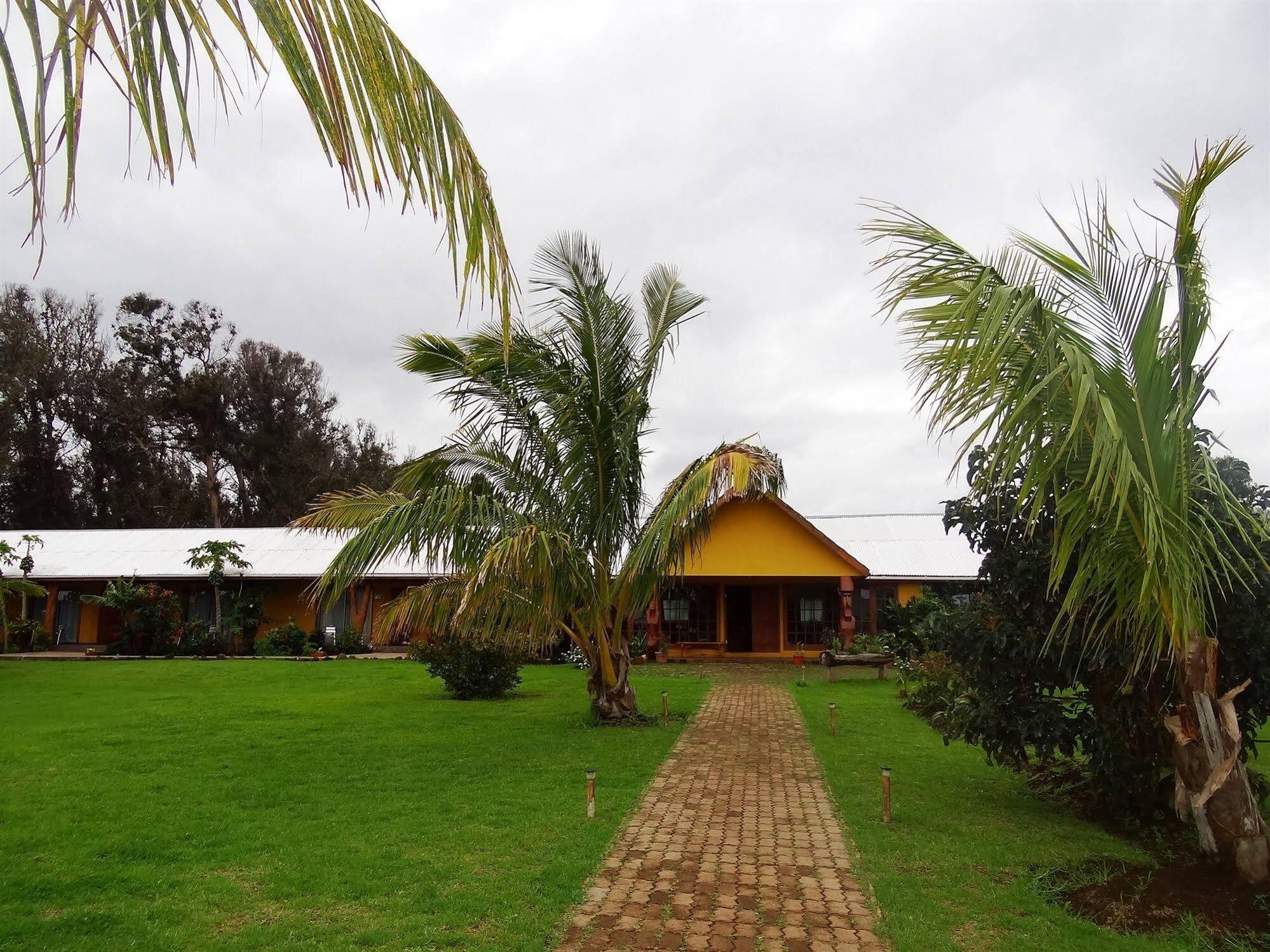 Cabanas Rapa Nui Orito Hanga Roa Exterior foto